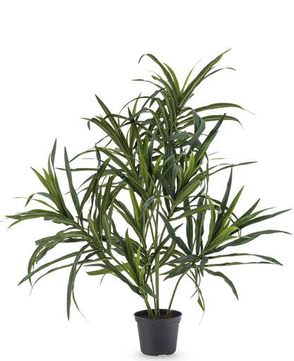 Kunstplant Dracaena in prachtige pot