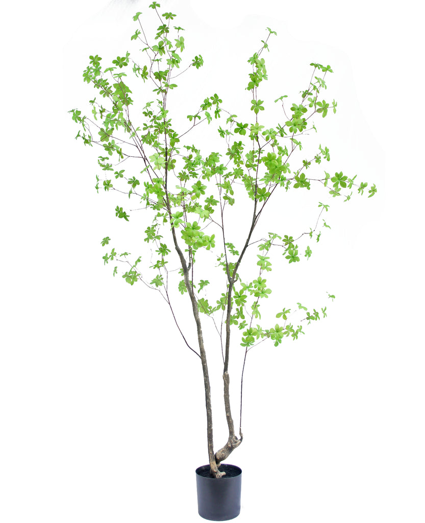 Mooie kunstplant Enkianthus van 210 cm