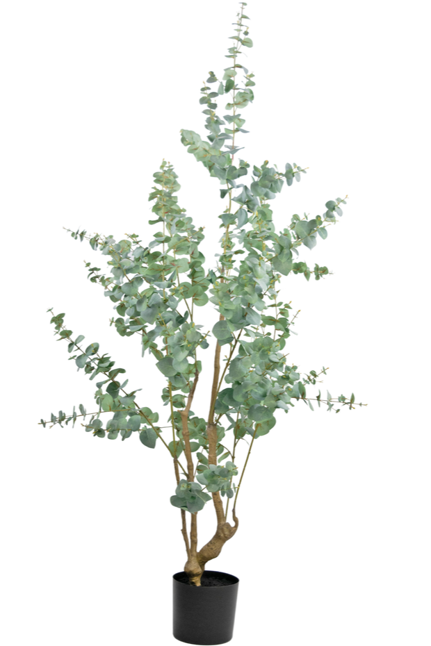 Kunstplant Eucalyptus 180 cm