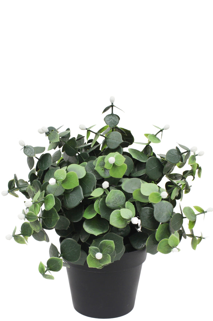 Witte kunstplant Eucalyptus in pot