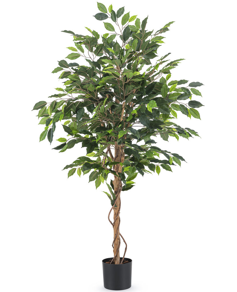 Mooie nep Ficus plant van 150 cm hoogte