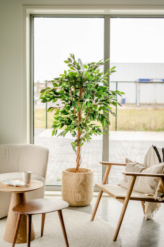 Levendige kunstplant Ficus van 180 cm