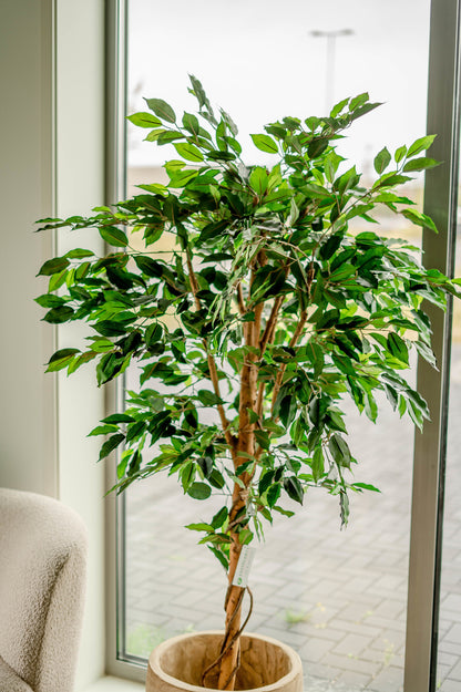 Groene kunstplant Ficus voor thuisdecoratie