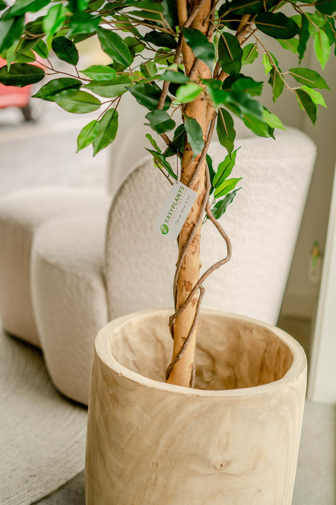 Mooie groene kunst Ficus plant