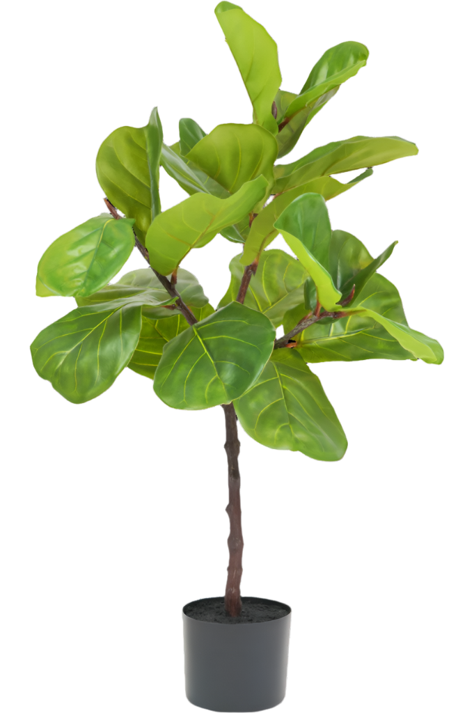 Een levensechte ficus kunstplant van 90 cm