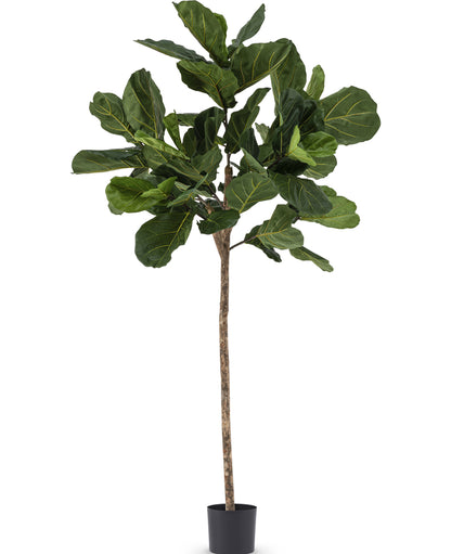 Mooie kunstplant met fiddle leaf patroon