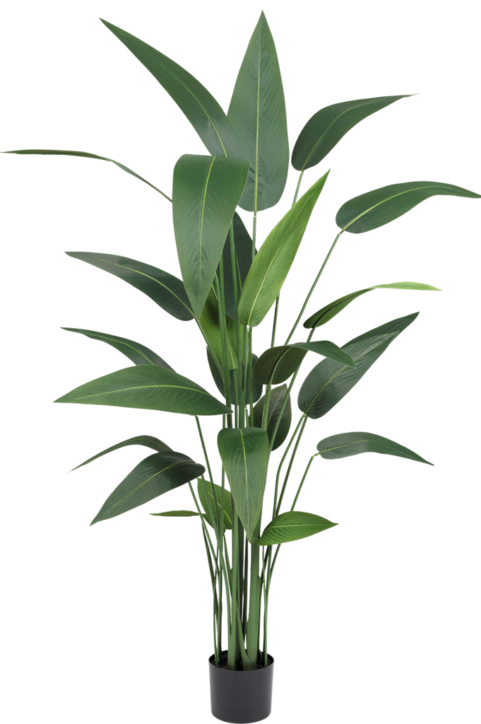 Nepplant heliconia decoratie 150 centimeter