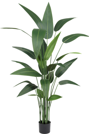 Nepplant heliconia decoratie 150 centimeter