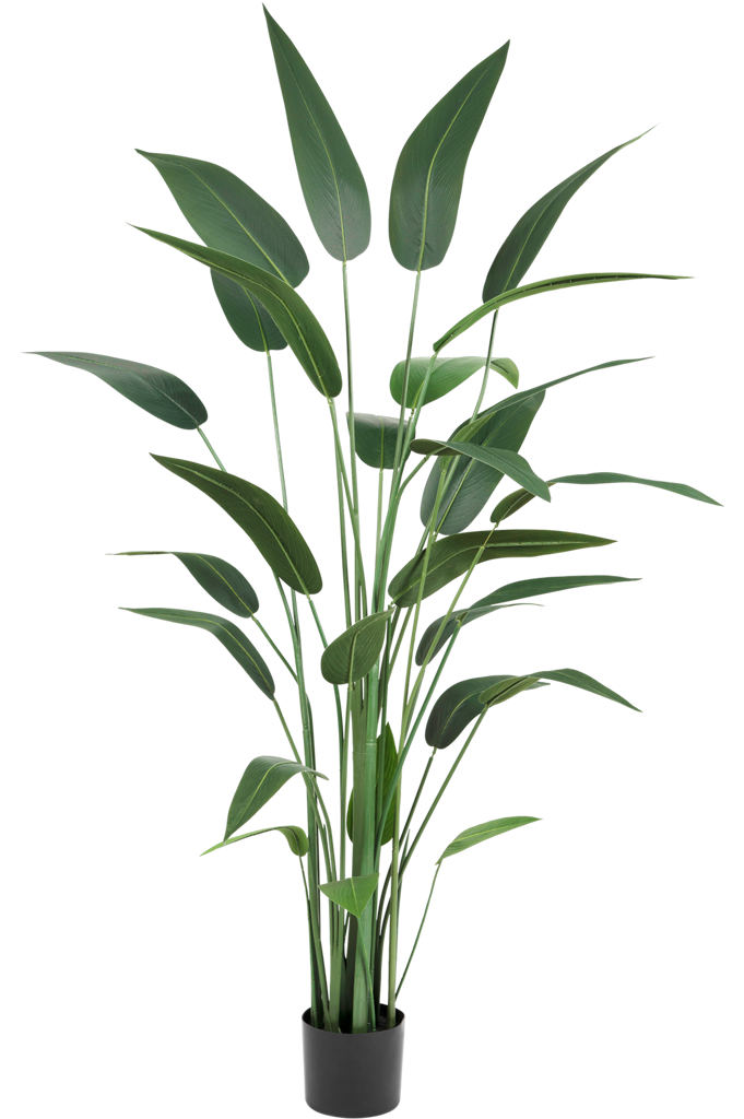 Kunstplant Heliconia van 180 cm