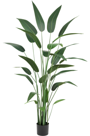 Kunstplant Heliconia van 180 cm