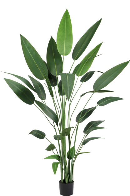 Kunstplant Heliconia voor binnenruimtes