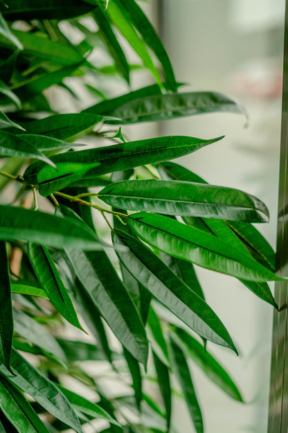 Natuurgetrouwe longifolia plant voor woninginrichting