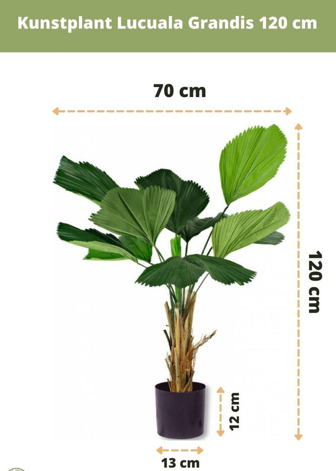 Stijlvolle nepboom van 120 cm hoog