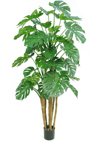 Kunstplant Monstera voor in huis