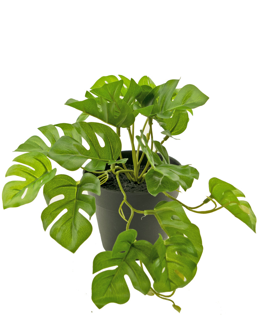 Kunstplant Monstera 25 cm hoogte