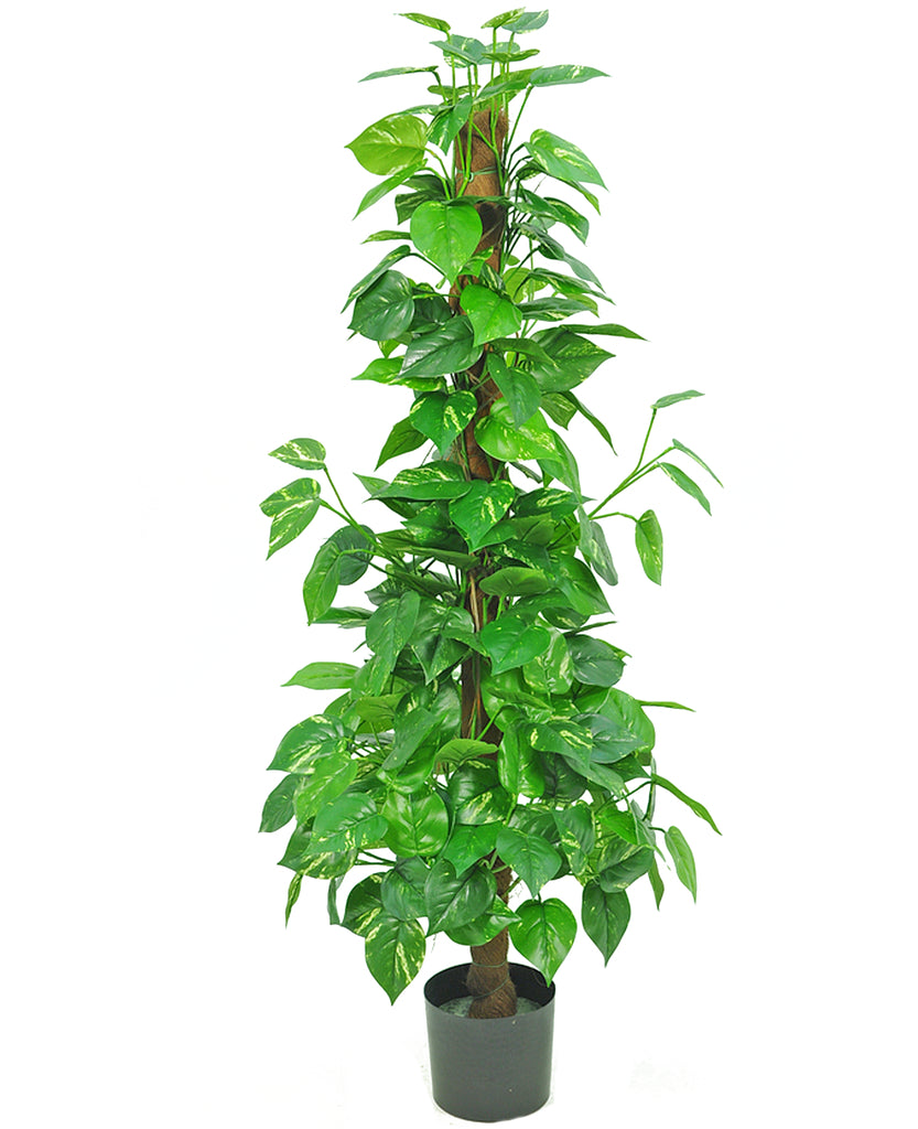 Kunstplant Pothos decoratie 150 cm