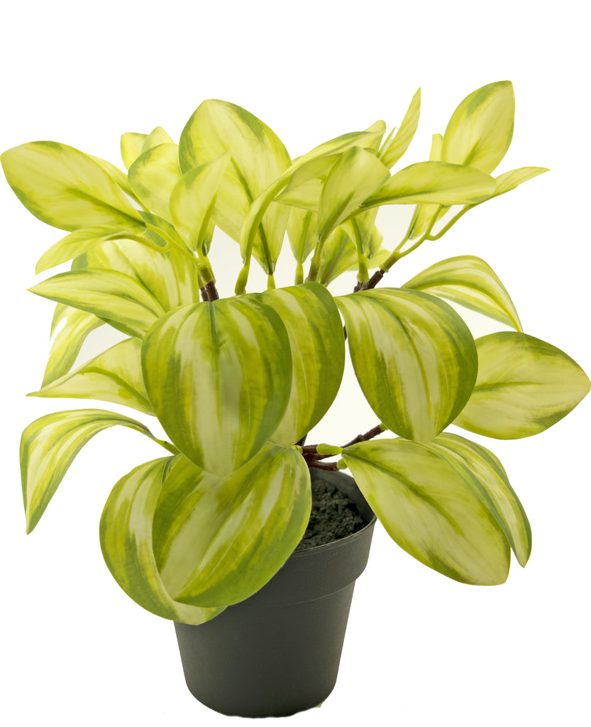 Kunstplant Rohdea groen decoratief 28 cm