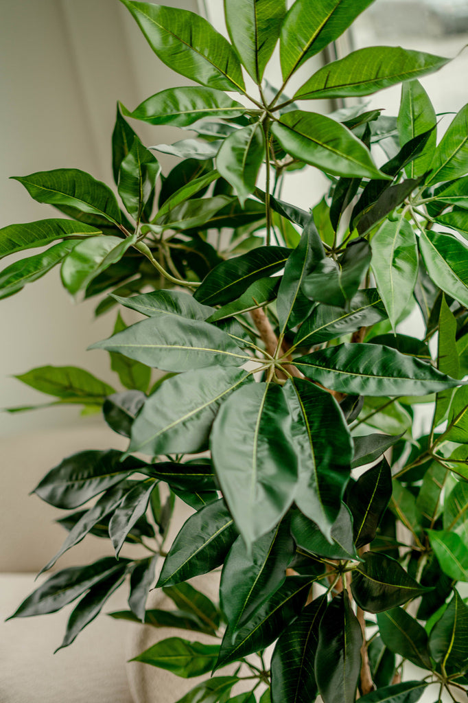 Groene kunstplant voor een natuurlijke uitstraling