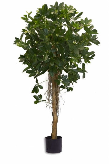 Mooie kunstplant schefflera met klein blad