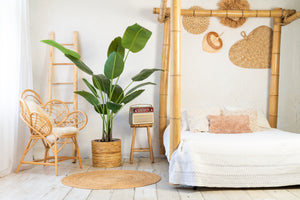 Kunstplant Strelitzia