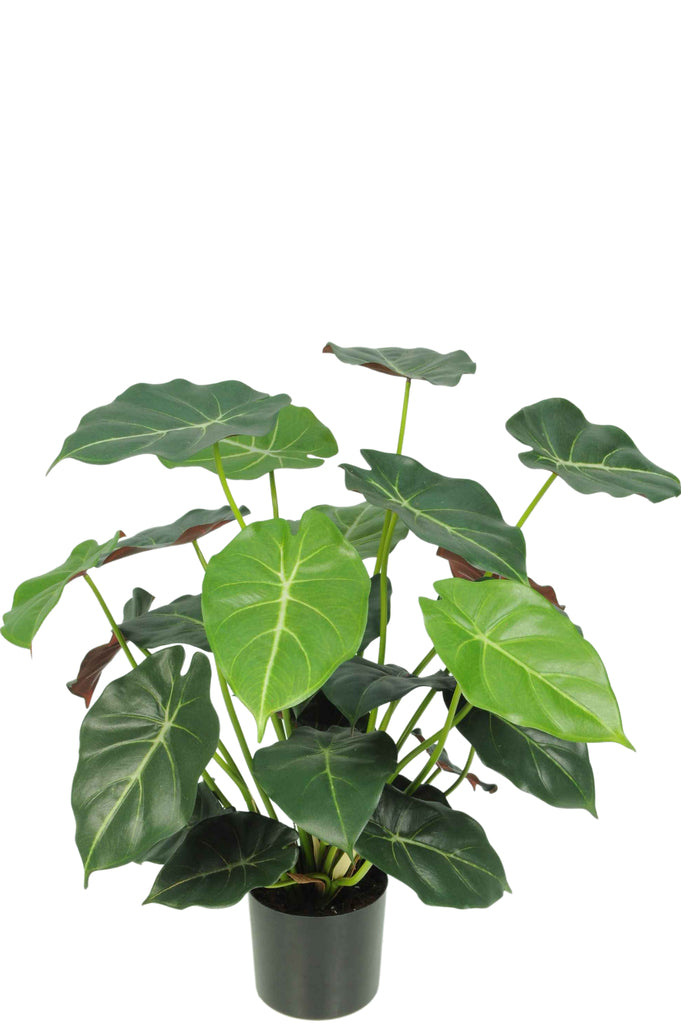 Kunstplant Syngonium Deluxe 58 cm