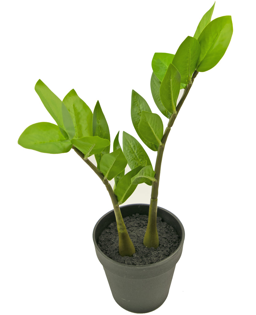 Kunstplant Zamioculcas 35 cm