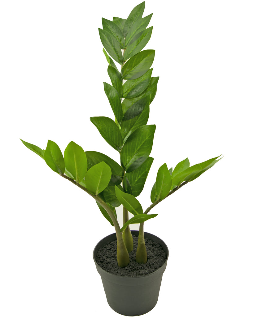 Kunstplant Zamioculcas 50 cm woondecoratie