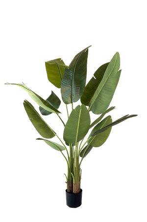 Kunstplant Strelitzia 150 cm real touch