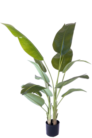 Kunstplant Strelitzia 200 cm real touch