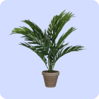 areca-kunstpalm.png