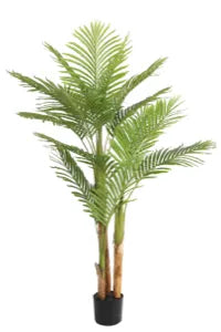 Palmen