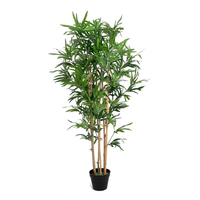 Alle planten