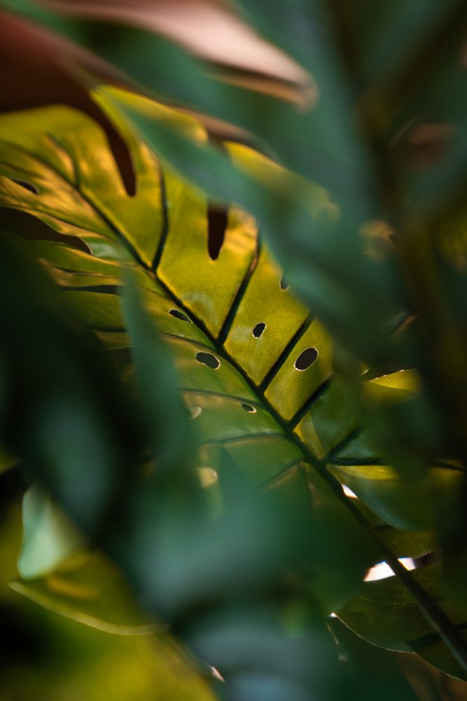 Close-up van real-touch bladeren van een NeverLeafs kunstplant