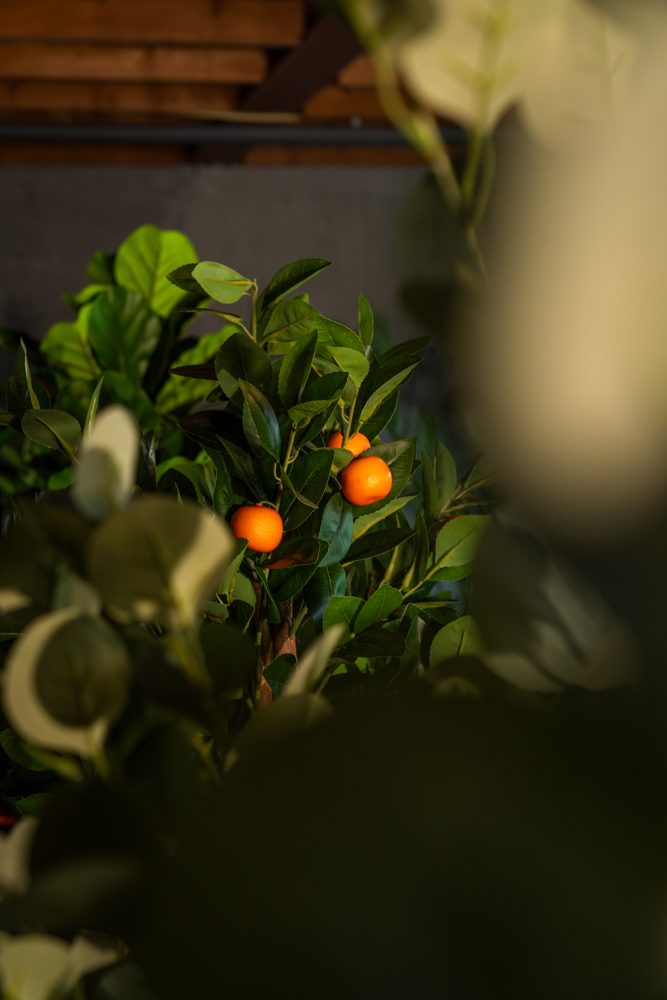 Close-up van een echte houten stam