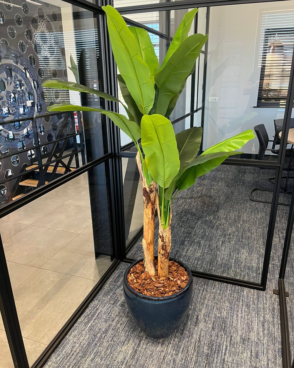 Bananenplant van NeverLeafs bij een klant op kantoor
